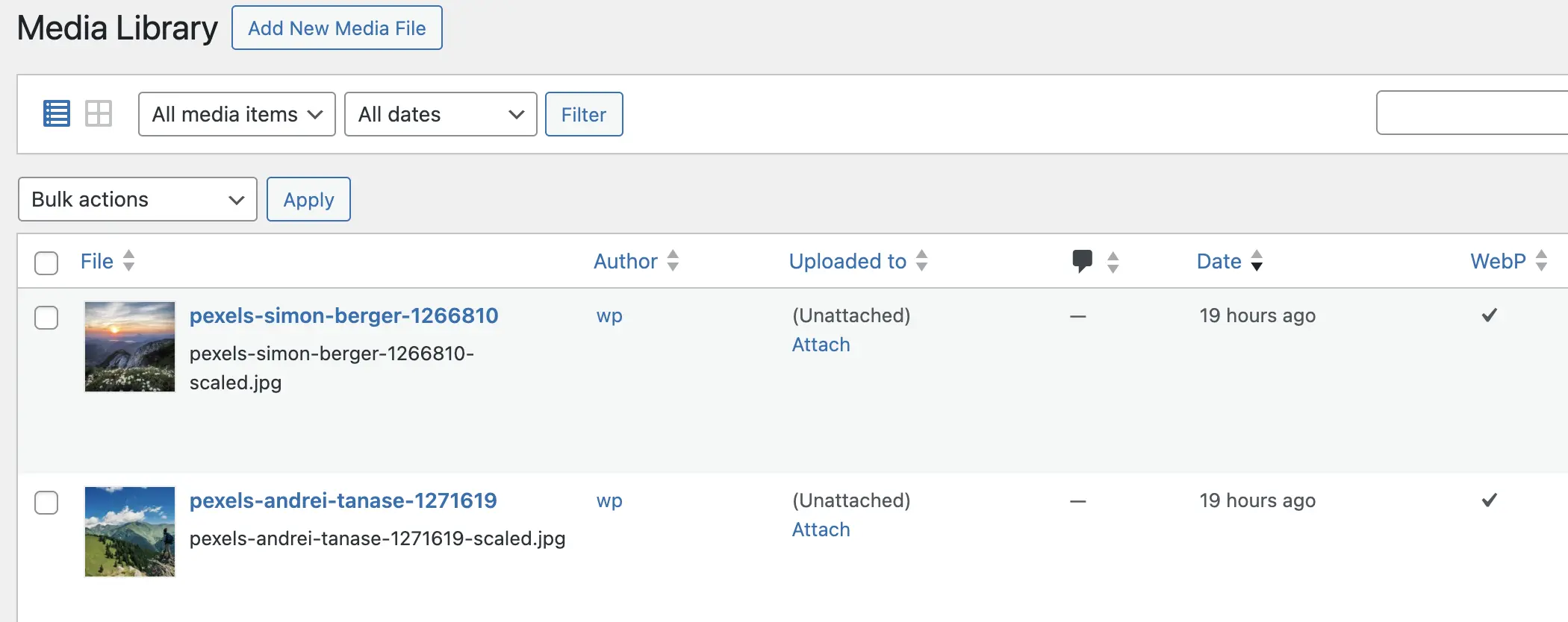 WebP column in Media Library